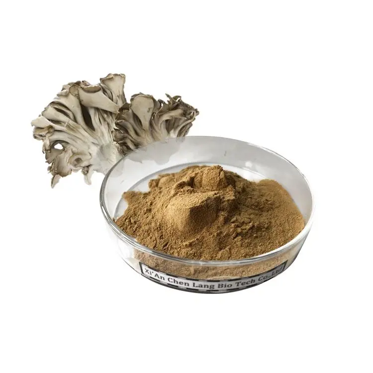 Maitake Powder.webp